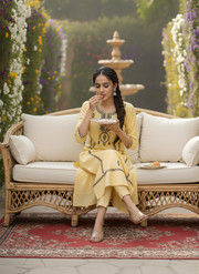 Stylish Embroidery Work Kurta Set for Women